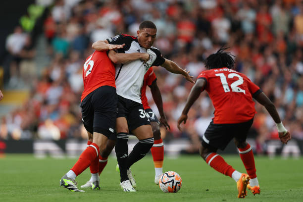 他的身体素 他的身体素